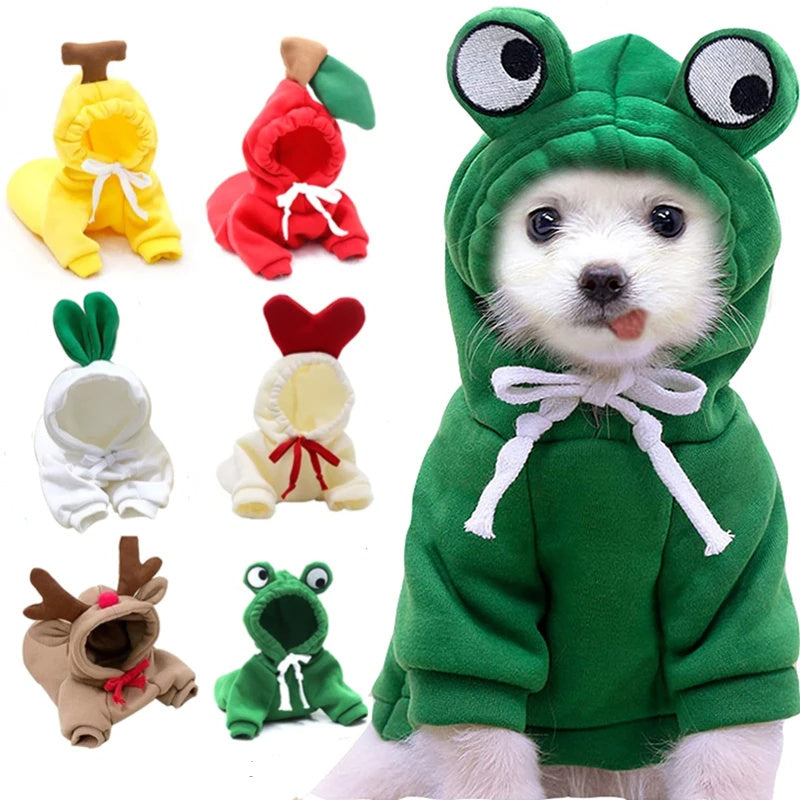 Pet Apparels
