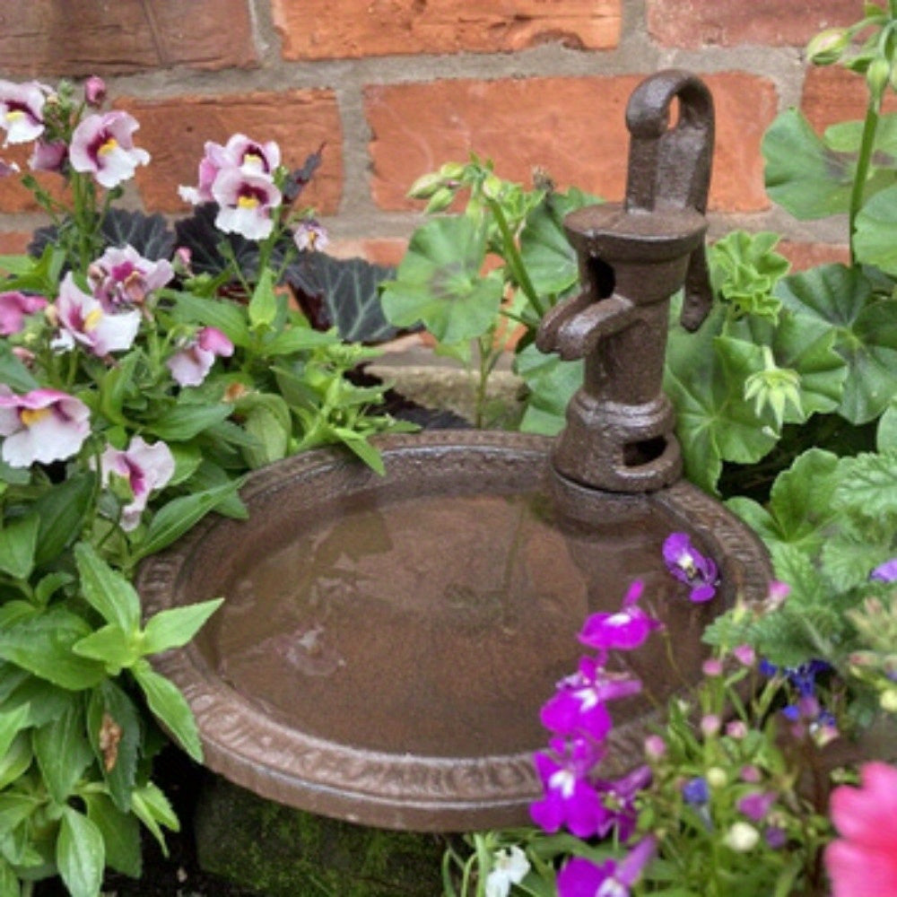Bird Feeder